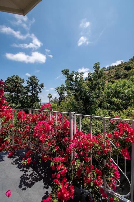 Stunning Hollywood Midcentury Modern-Views-Best Location! Лос-Анджелес Экстерьер фото